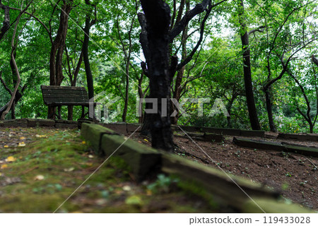 [莊內風景] 山王林梅林_長凳 119433028