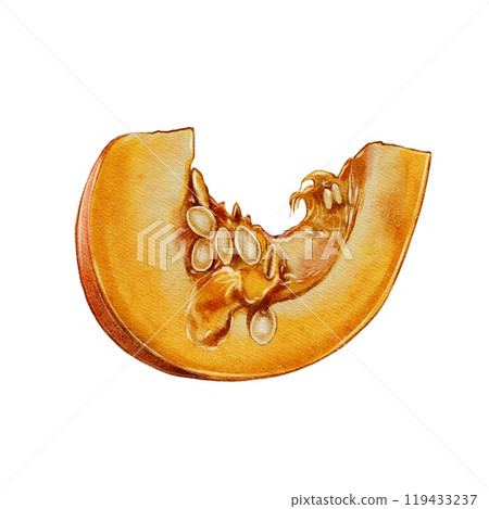 orange pumpkin slice with seeds orange pumpkin slice with seeds 119433237