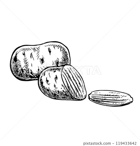 Potatoes, whole and sliced. Vector graphics with images of potatoes. Hand-drawn black and white illustrations. On a white background. Great for labels, banners, posters and packages. Potatoes, whole and sliced. Vector graphics with images of potatoes. Hand-drawn black and white illustrations. On a white background. Great for labels, banners, posters and packages. 119433642