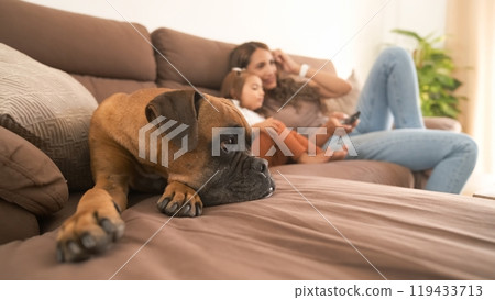Boxer dog resting by mother and girl watching TV at home 119433713