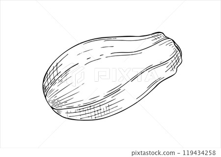 Whole unpeeled papaya fruit line art black ink sketch in realistic style. Tropical pawpaw plant vector isolated illustration. Floral exotic element for package design, cooking recipes, label. 119434258