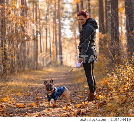 Woman with French bulldog walking in the autumn park. Woman with French bulldog walking in the autumn park. 119434419