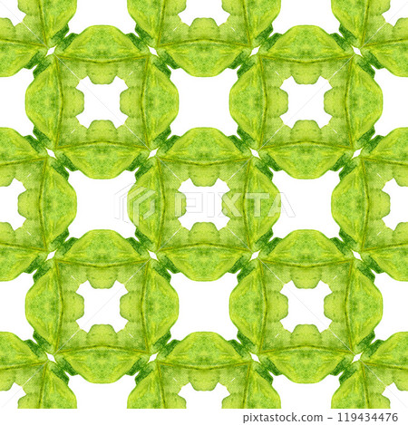 Ethnic hand painted pattern. Green optimal boho Ethnic hand painted pattern. Green optimal boho 119434476