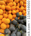 vertical melons bright photo background 119434660