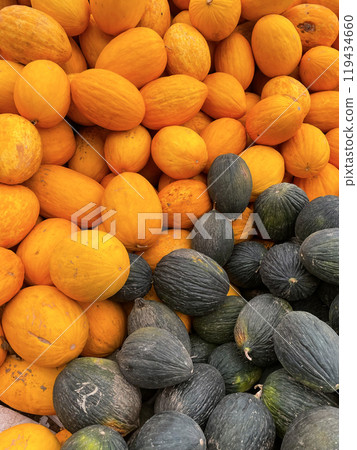 vertical melons bright photo background 119434660