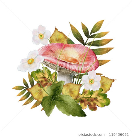 Autumn composition of Mushroom, leaves and flowers Autumn composition of Mushroom, leaves and flowers 119436031