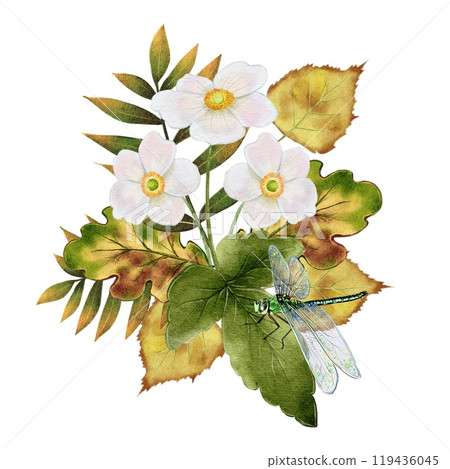 Autumn composition with White Flowers, Leaves And Dragonfly Autumn composition with White Flowers, Leaves And Dragonfly 119436045