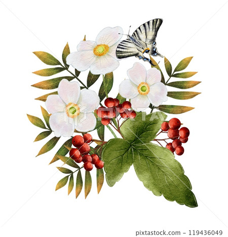 Autumn composition of white flowers with rowan and butterfly 119436049