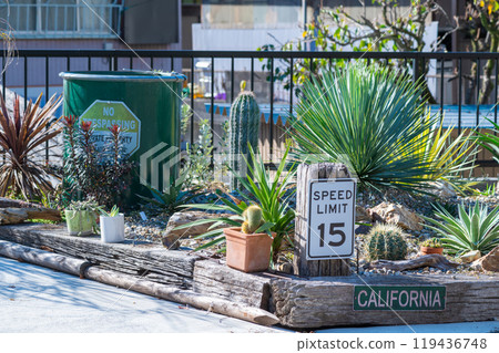 West Coast-inspired garden 119436748