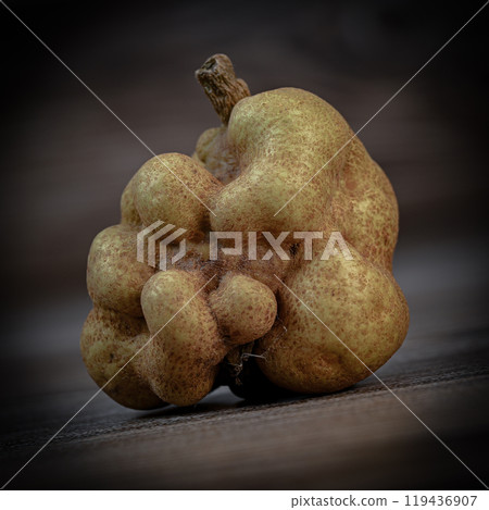 Deformed, malformed or atypical fruit, Pear in studio 119436907