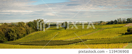 Sunset landscape bordeaux wineyard france, europe Nature 119436908