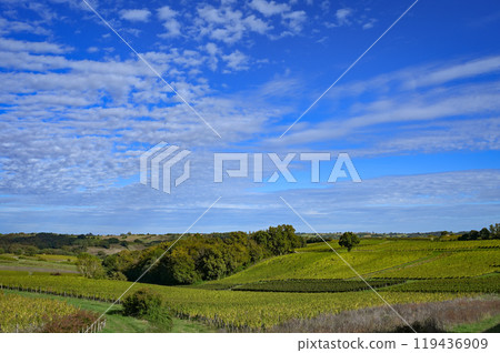 Sunset landscape bordeaux wineyard france, europe Nature 119436909