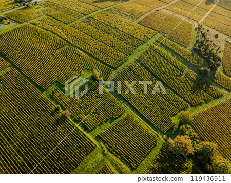 Aerial view, Bordeaux vineyard, landscape vineyard south west of france, Sainte-Croix-du-Mont 119436911