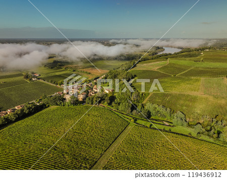 Aerial view, Bordeaux vineyard, landscape vineyard south west of france, Langoiran Aerial view, Bordeaux vineyard, landscape vineyard south west of france, Langoiran 119436912