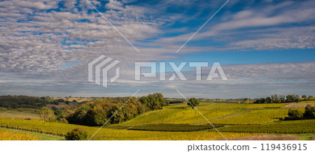 Sunset landscape bordeaux wineyard france, europe Nature Sunset landscape bordeaux wineyard france, europe Nature 119436915