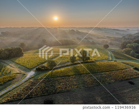 Sunset landscape bordeaux wineyard france, europe Nature 119436916