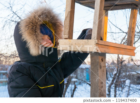 Adorable child, boy feeding birds on a cold winter day, pouring grain into a feeder. A child helps birds in winter. Winter activities for 119437400