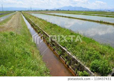 Agricultural canals 119437431