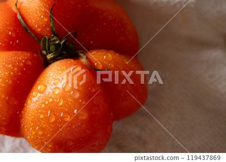 Close up of wet freshly harvested tomato. Healthy food concept. Close up of wet freshly harvested tomato. Healthy food concept. 119437869