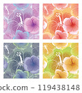 Seamless patterns with hibiscus flowers 119438148