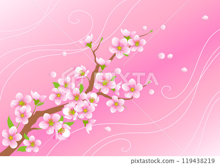 Blossoming cherry branch with flying petals on a pink background Blossoming cherry branch with flying petals on a pink background 119438219