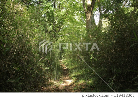 Yugawara Hiking 119438305