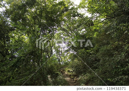 Yugawara Hiking 119438371