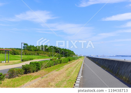 千葉縣浦安市日之出海岸綠色道路 2024 年 10 月 119438713