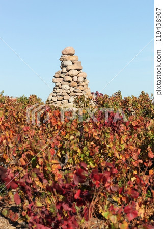 Bourdon tower in Beaujolais, France 119438907