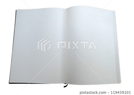 Blank book with plain white pages on the front and back 119439101