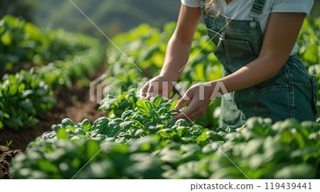 Technology in Agricultural field, cultivated and plantation with futuristic smart objects 119439441