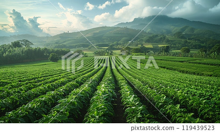 Technology in Agricultural field, cultivated and plantation with futuristic smart objects 119439523