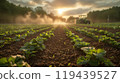Technology in Agricultural field, cultivated and plantation with futuristic smart objects 119439527