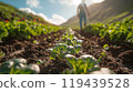 Technology in Agricultural field, cultivated and plantation with futuristic smart objects 119439528