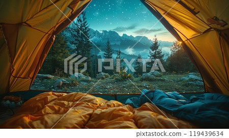 Inside out view of camping tent at the campground 119439634