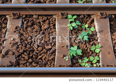 生鏽的鐵路 生鏽的鐵路 119440117