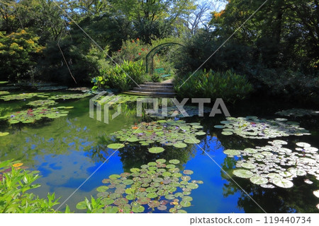 Monet's Garden Marmottan, Kitagawa Village, Aki District, Kochi Prefecture 119440734