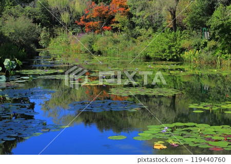 高知縣 安藝郡 北川村 莫奈花園 Marmottan 119440760