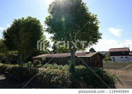 Rural rural landscape 119440864