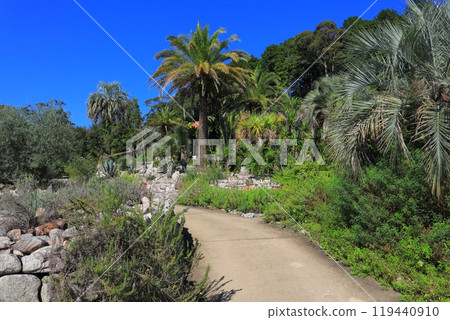 Kochi Prefecture Aki District Kitagawa Village Marmottan Bordighera Garden 119440910