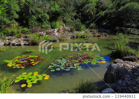 Kochi Prefecture Aki District Kitagawa Village Marmottan Bordighera Garden 119440911