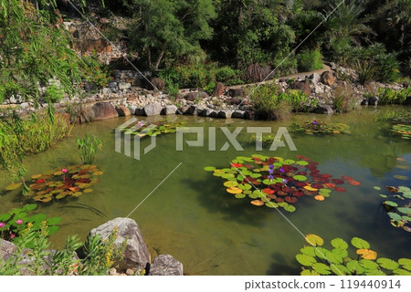 Kochi Prefecture Aki District Kitagawa Village Marmottan Bordighera Garden 119440914