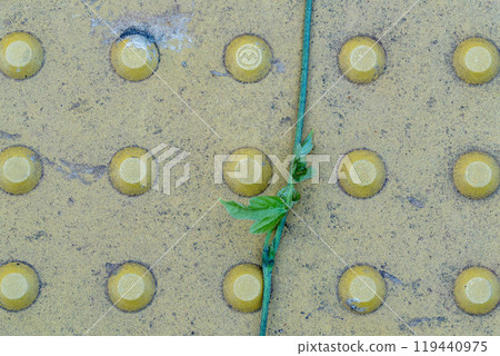 Station braille block 119440975