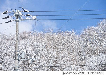 電線桿、電線和多雪的樹木 電線桿、電線和多雪的樹木 119441276
