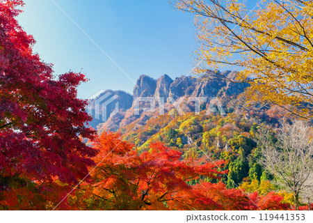 秋葉的岩牆仰望藍天 119441353