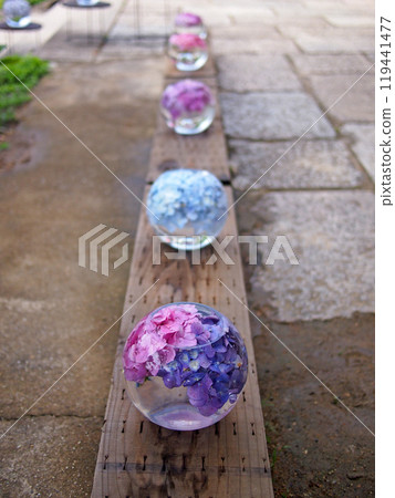 Hydrangea glass ball at Hannyaji Temple 119441477