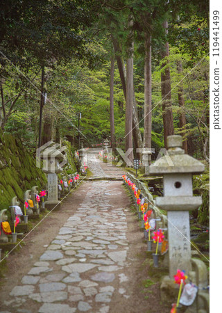 Shiga Prefecture Kongorinji Green World Shiga Prefecture Kongorinji Green World 119441499