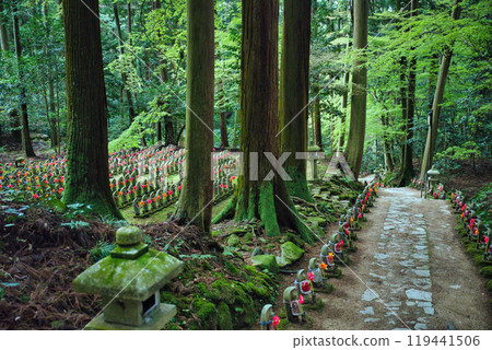 Shiga Prefecture Kongorinji Green World Shiga Prefecture Kongorinji Green World 119441506