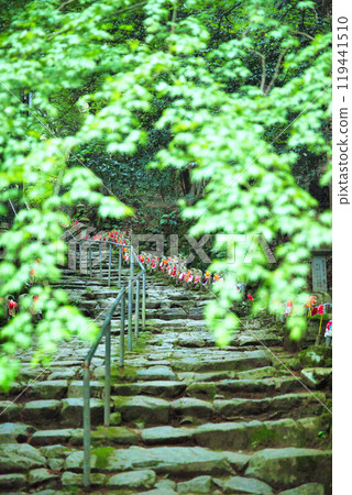 Shiga Prefecture Kongorinji Green World 119441510