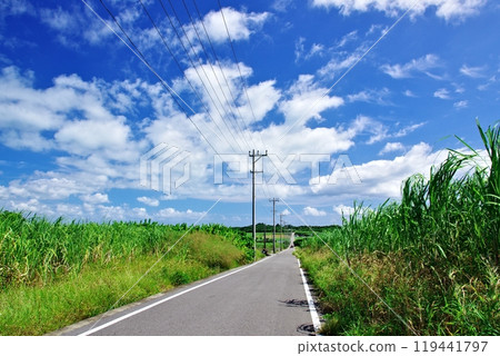 Kohama Island, Okinawa Prefecture: Blue skies and Sugar Road 119441797